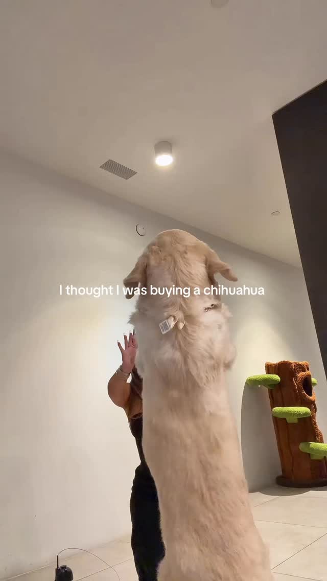 Fitness nude leaked video