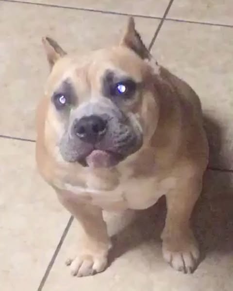 Tattoo nude leaked video